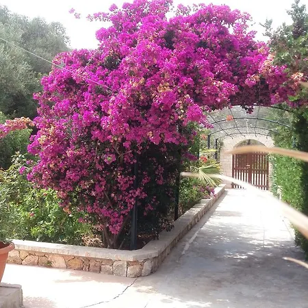 Primera Aparthotel Cala Figuera (Mallorca)
